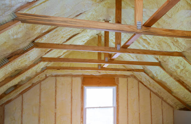 Best Insulation for New Construction  in Glendale Heights, IL