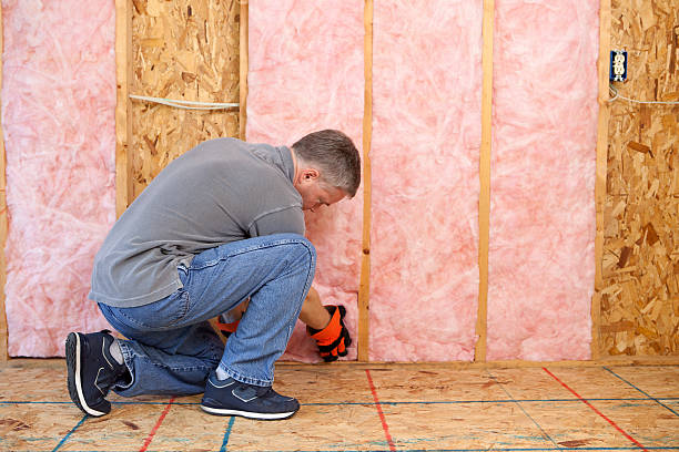 Best Attic Insulation Installation  in Glendale Heights, IL