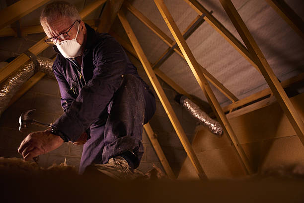 Best Spray Foam Insulation  in Glendale Heights, IL